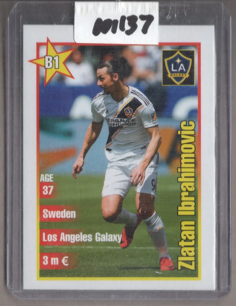 Ibrahimovic — Sweden