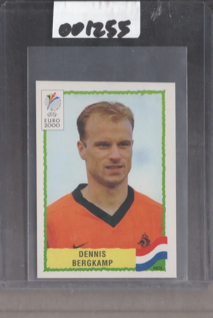 Bergkamp — Netherlands
