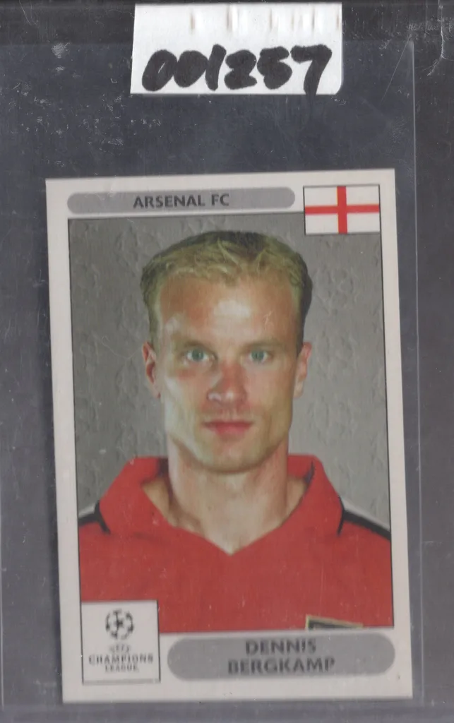 Bergkamp — Netherlands