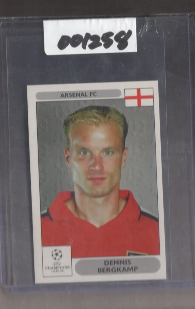 Bergkamp — Netherlands