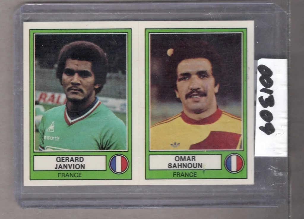 Janvion/Sahnoun — France