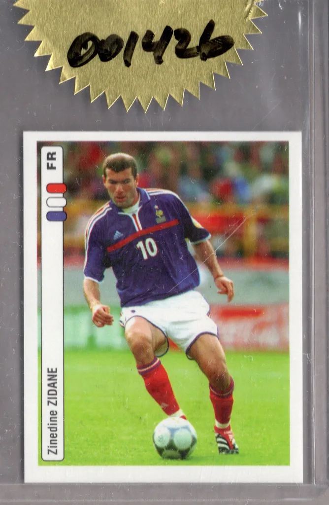 Zidane — France