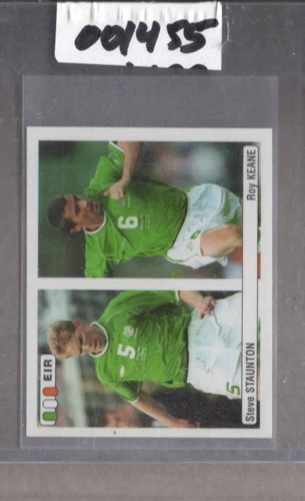 Staunton/Keane — Ireland
