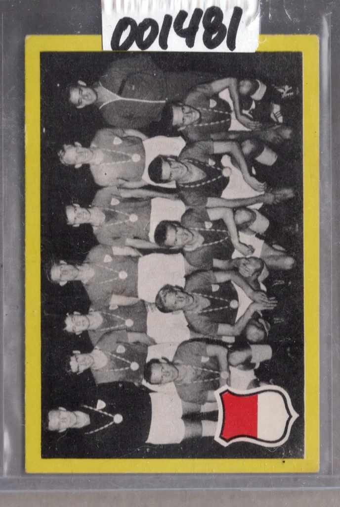 Team — Denmark
