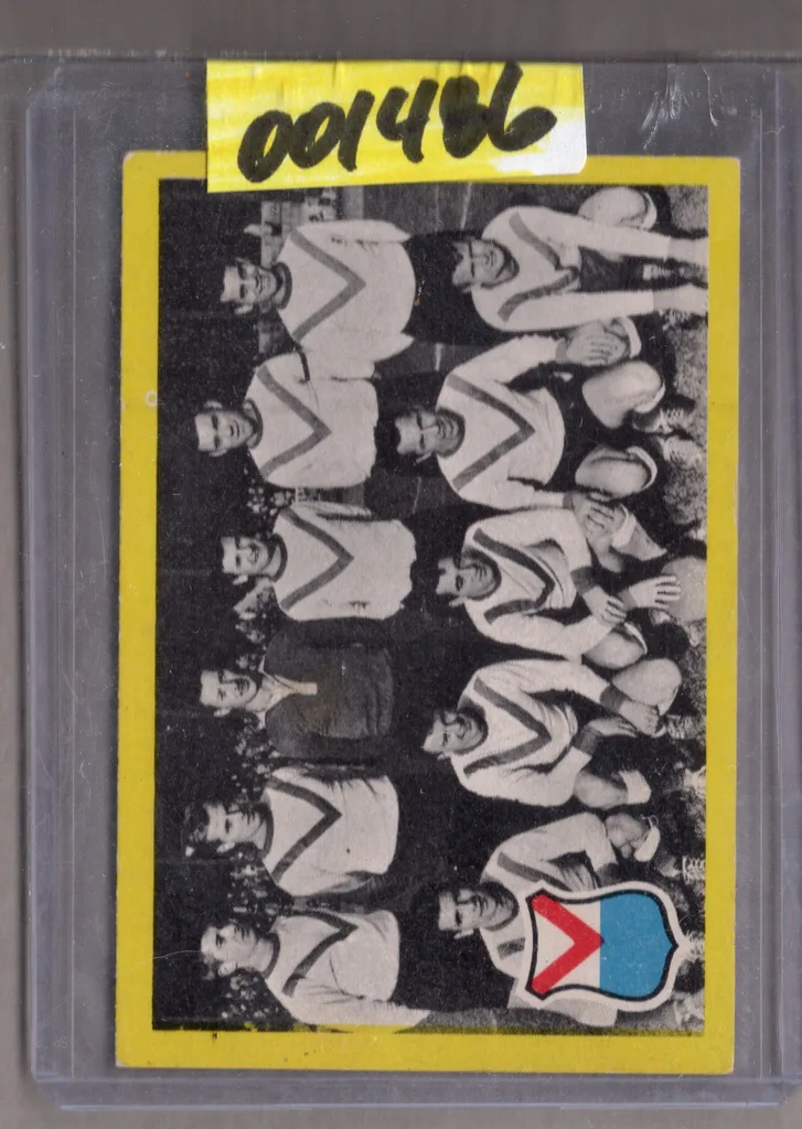 Team Lille — France