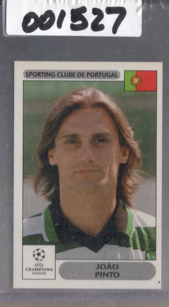 Pinto — Portugal