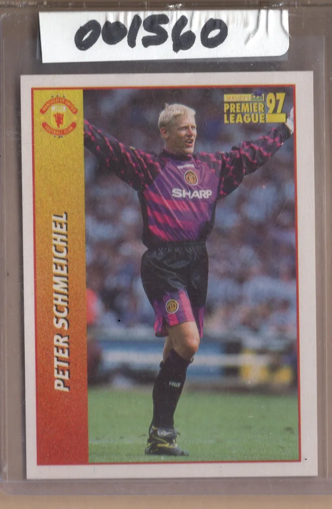 Schmeichel — Denmark