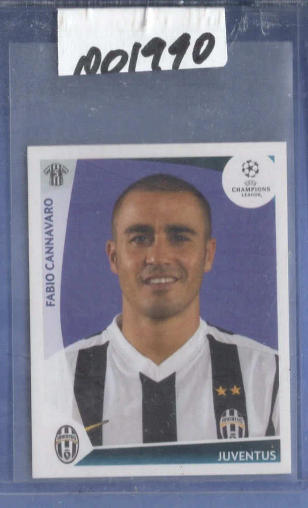 Cannavaro — Italy