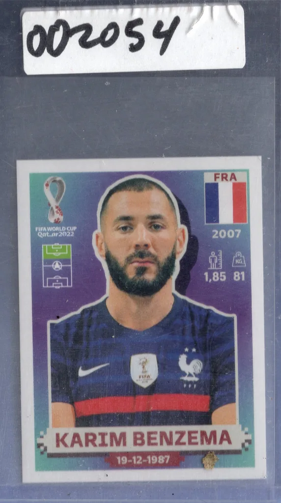 Benzema — France