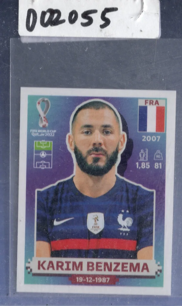 Benzema — France