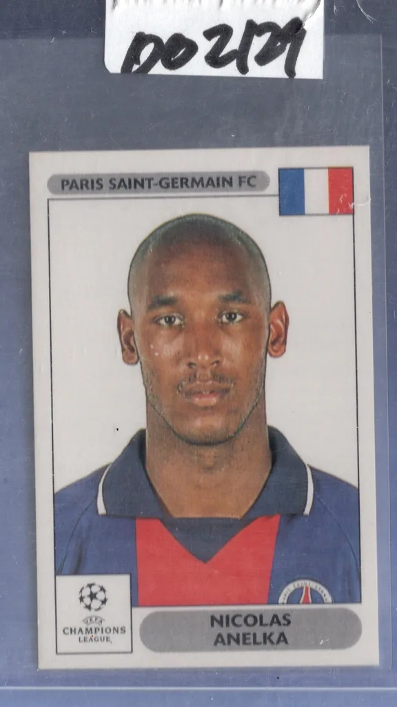 Anelka — France