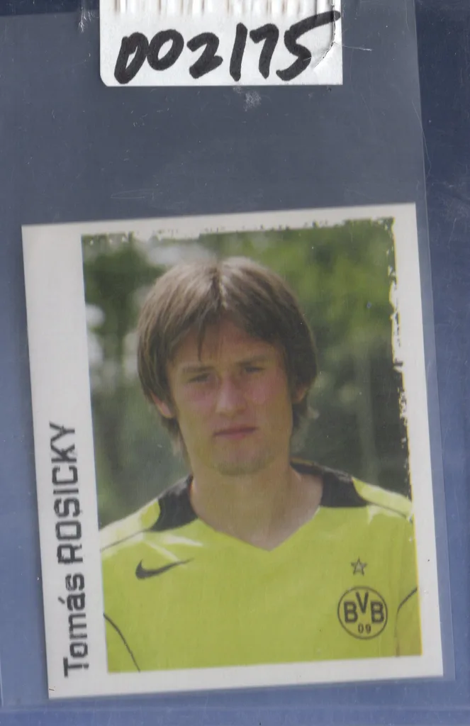 Rosicky — Czech Republic