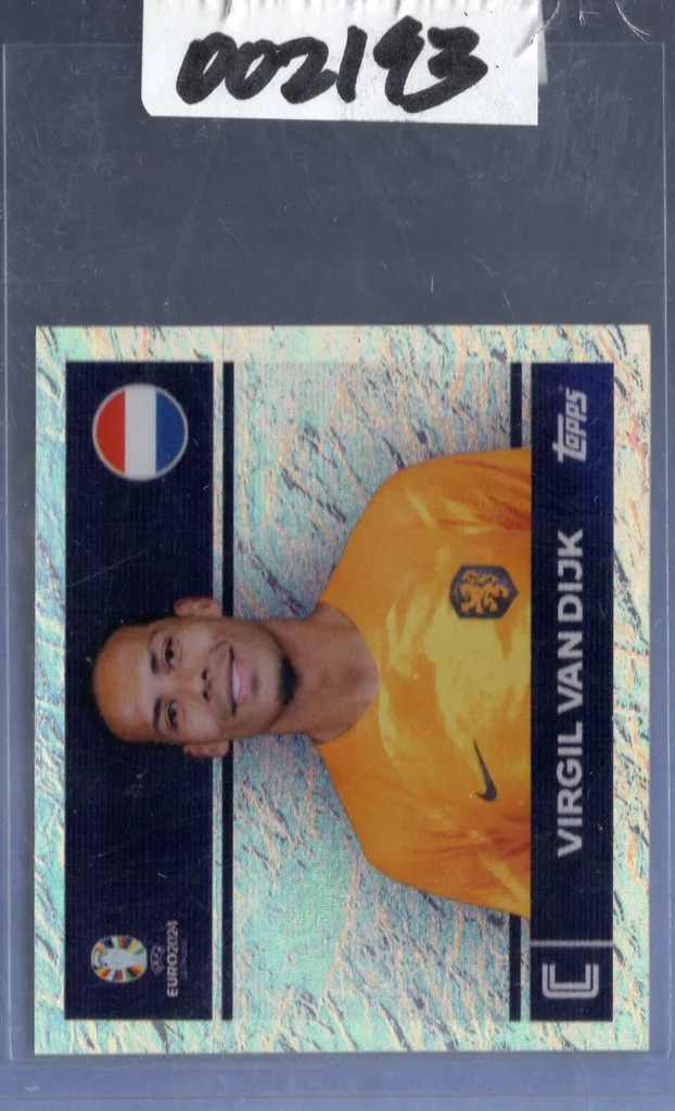 Van Dijk — Netherlands