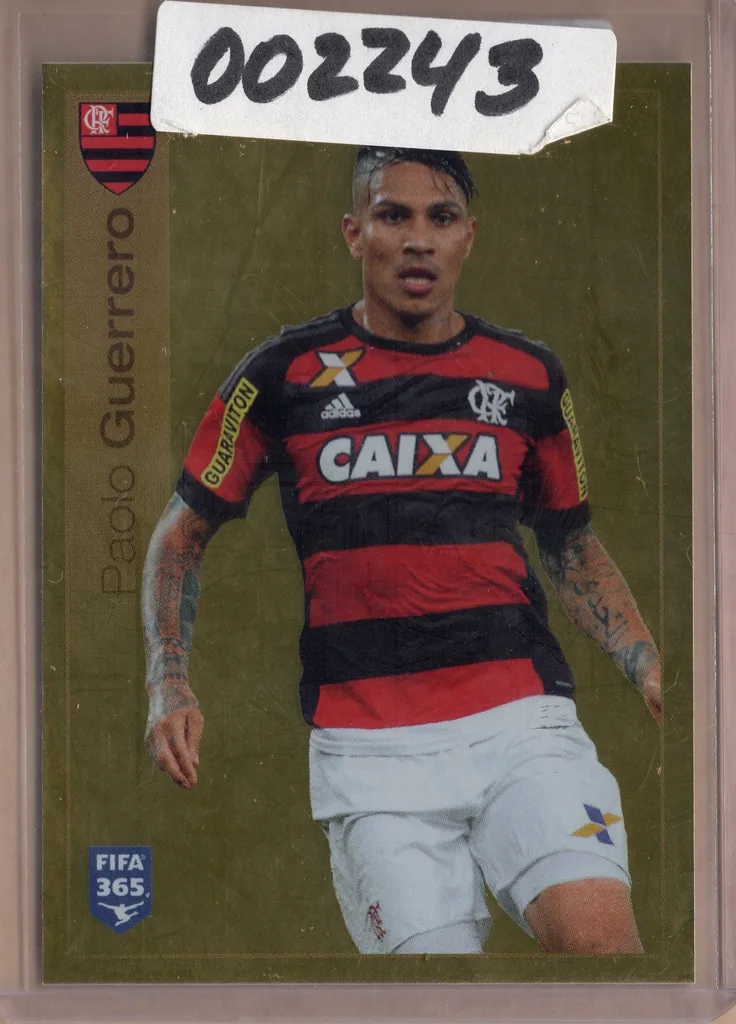 Guerrero — Peru