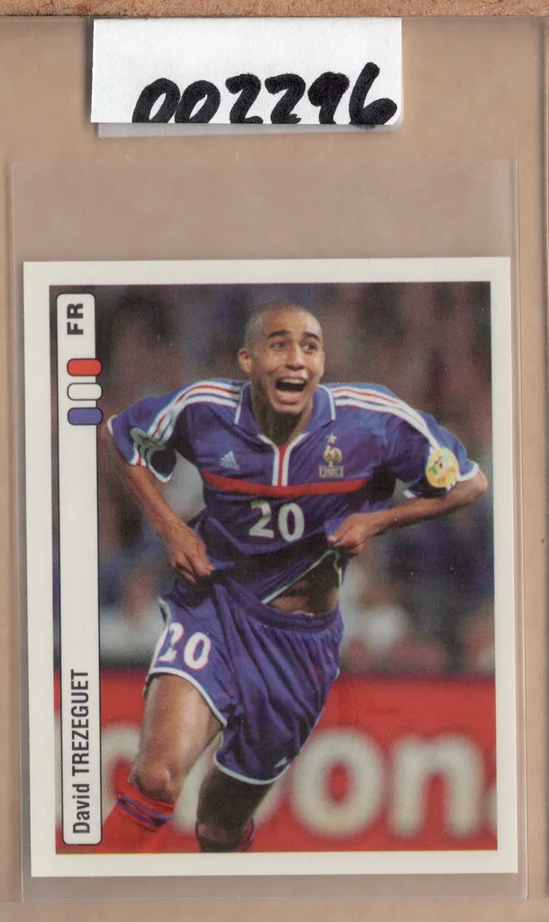 Trezeguet — France