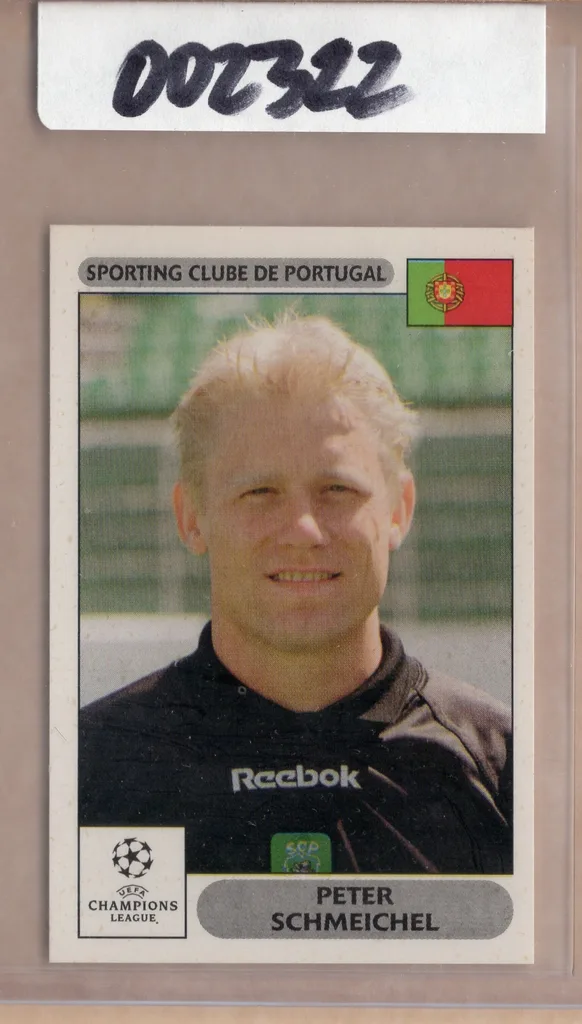 Schmeichel — Denmark