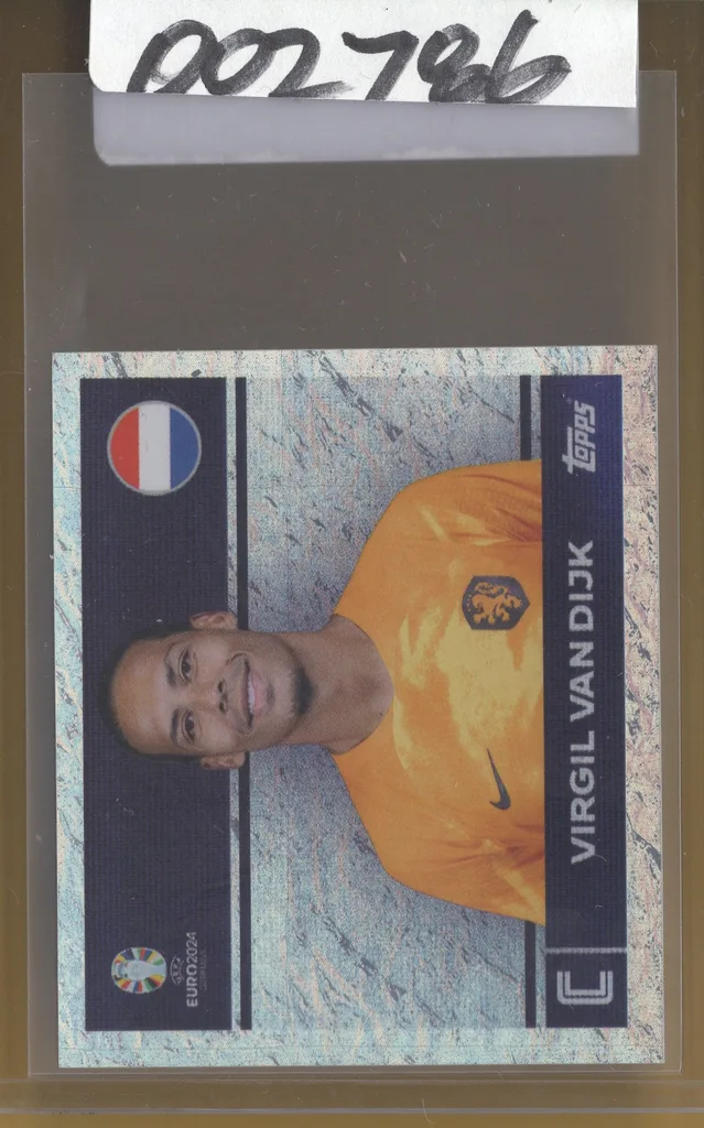 Van Dijk — Netherlands