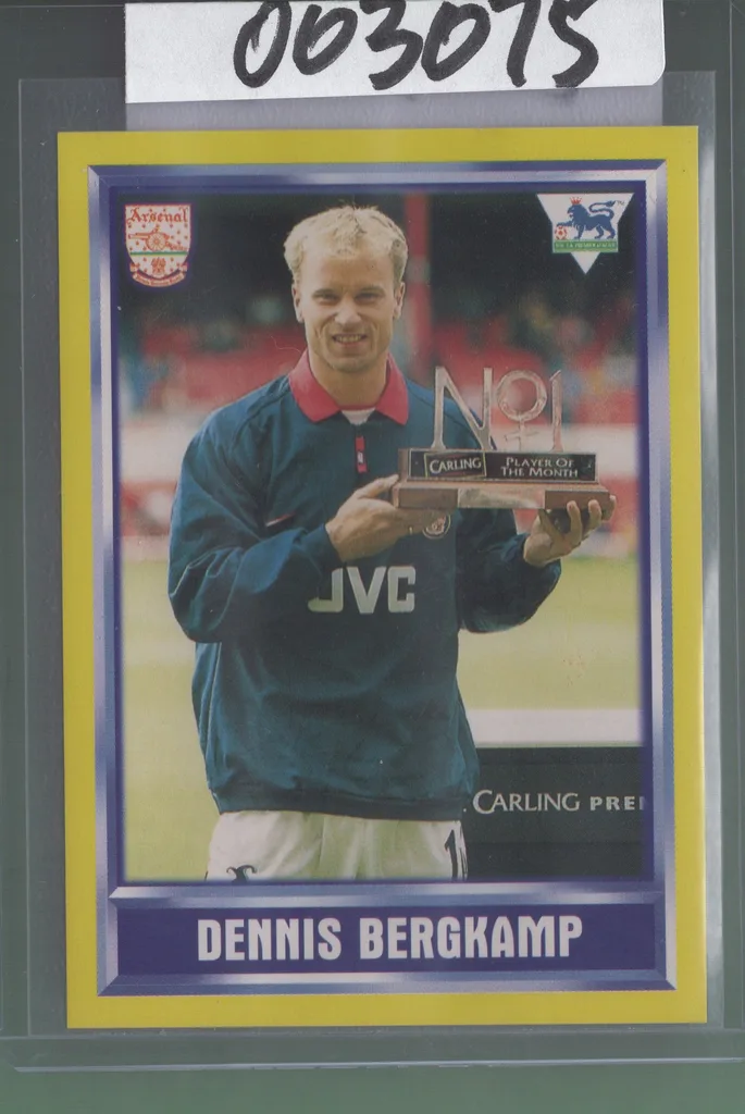 Bergkamp — Netherlands