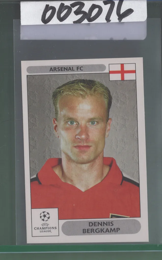 Bergkamp — Netherlands