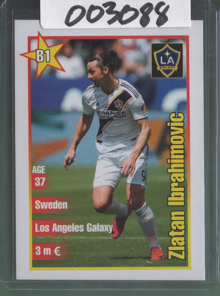 Ibrahimovic — Sweden