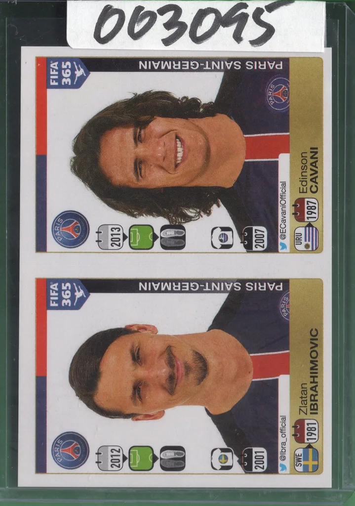 Ibrahimovic/Cavani — Sweden