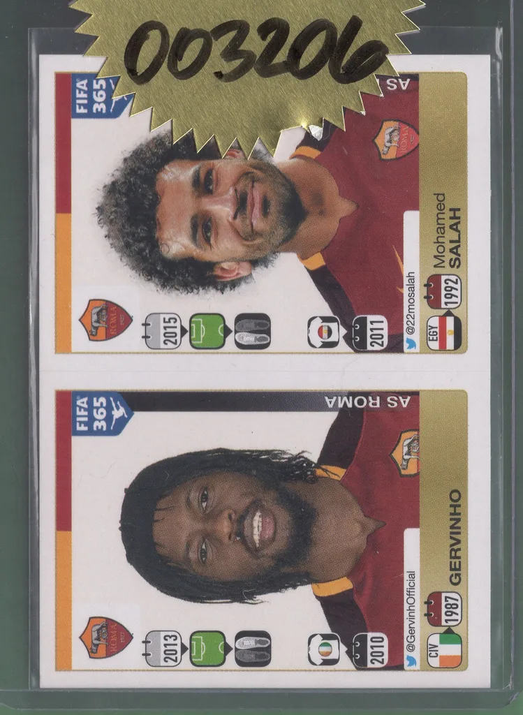 Gervinho/Salah — Ivory Coast