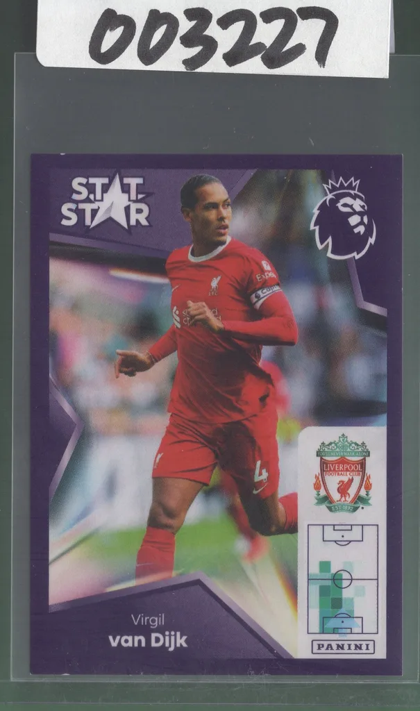 Van Dijk — Netherlands