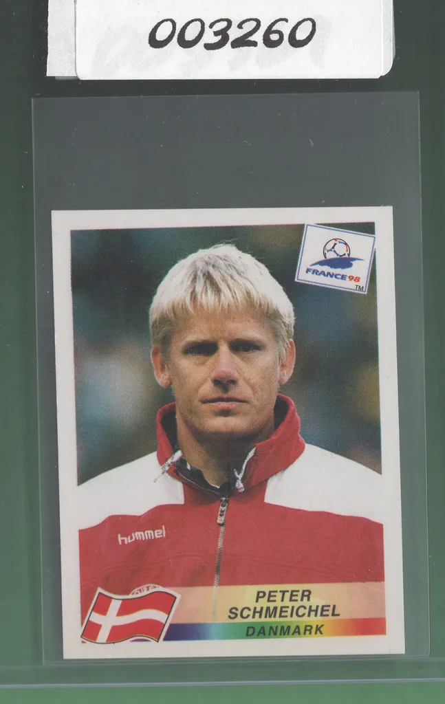 Schmeichel — Denmark