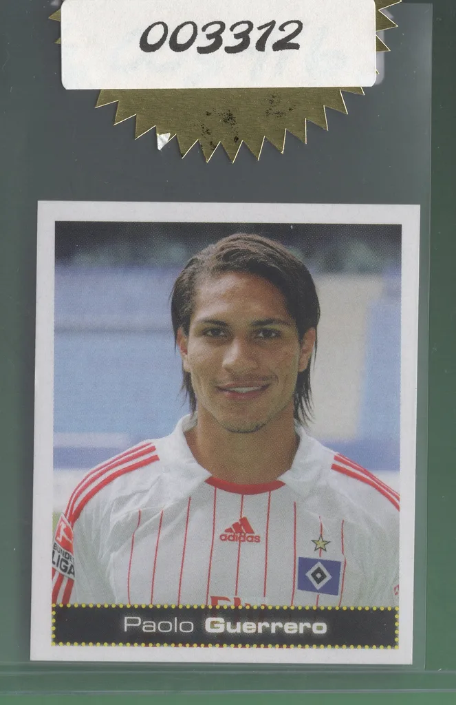 Guerrero — Peru
