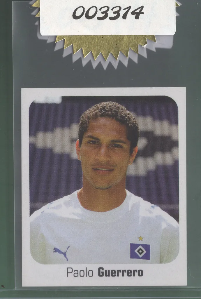 Guerrero — Peru