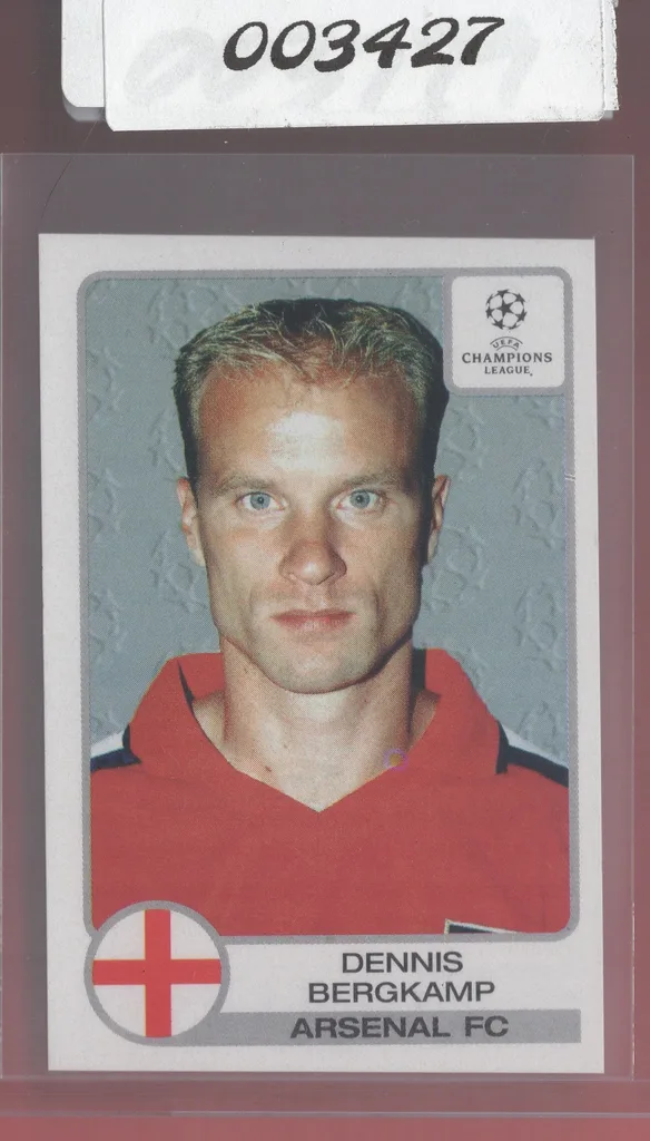 Bergkamp — Netherlands