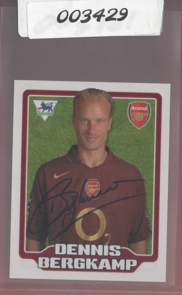 Bergkamp — Netherlands