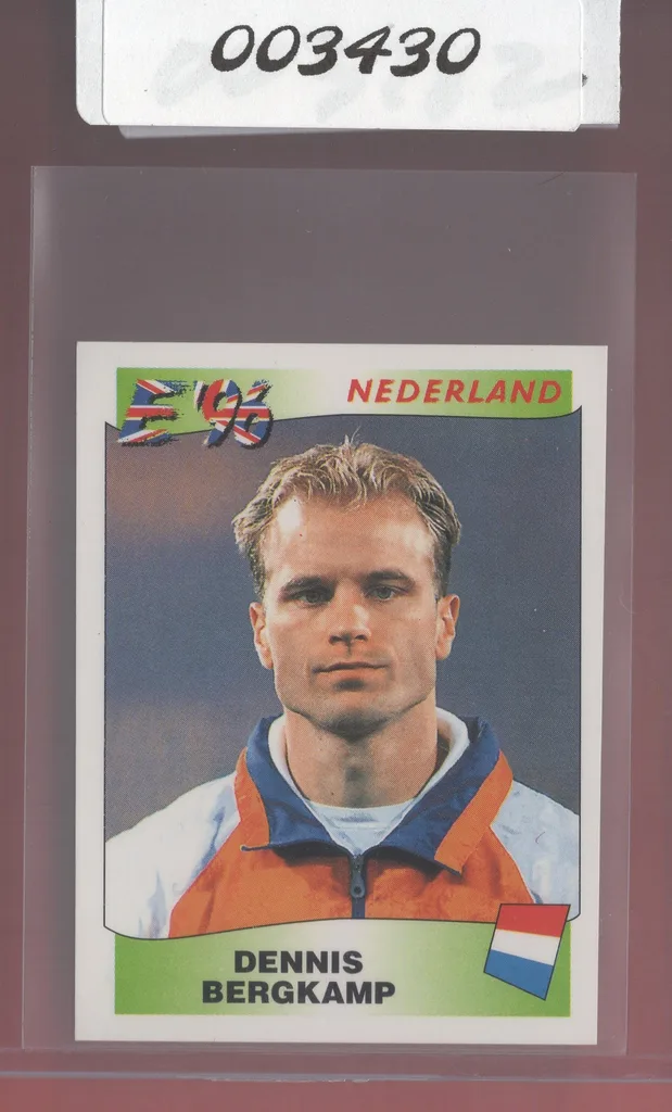 Bergkamp — Netherlands