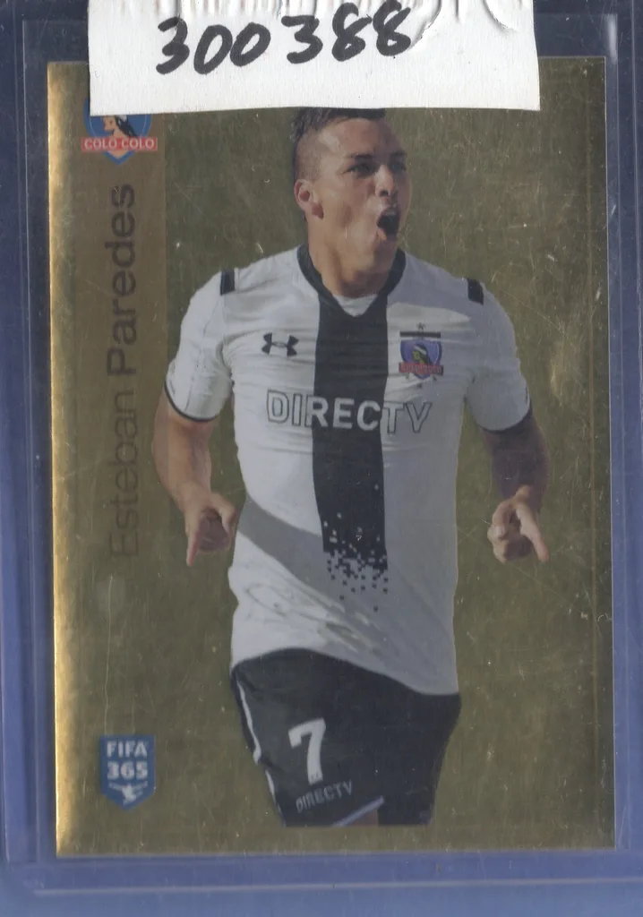 Paredes — Chile