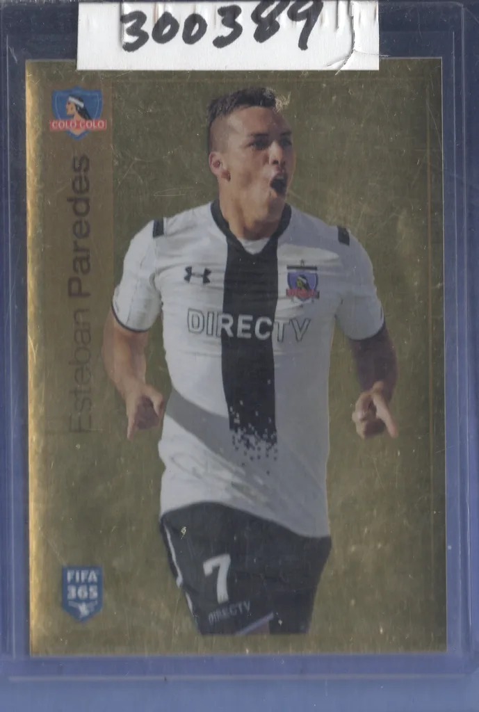 Paredes — Chile