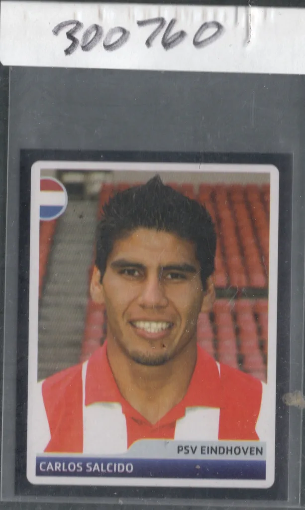 Salcido — Mexico