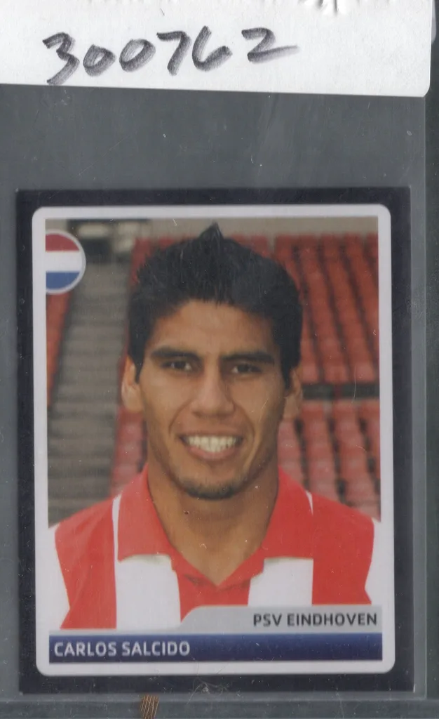 Salcido — Mexico