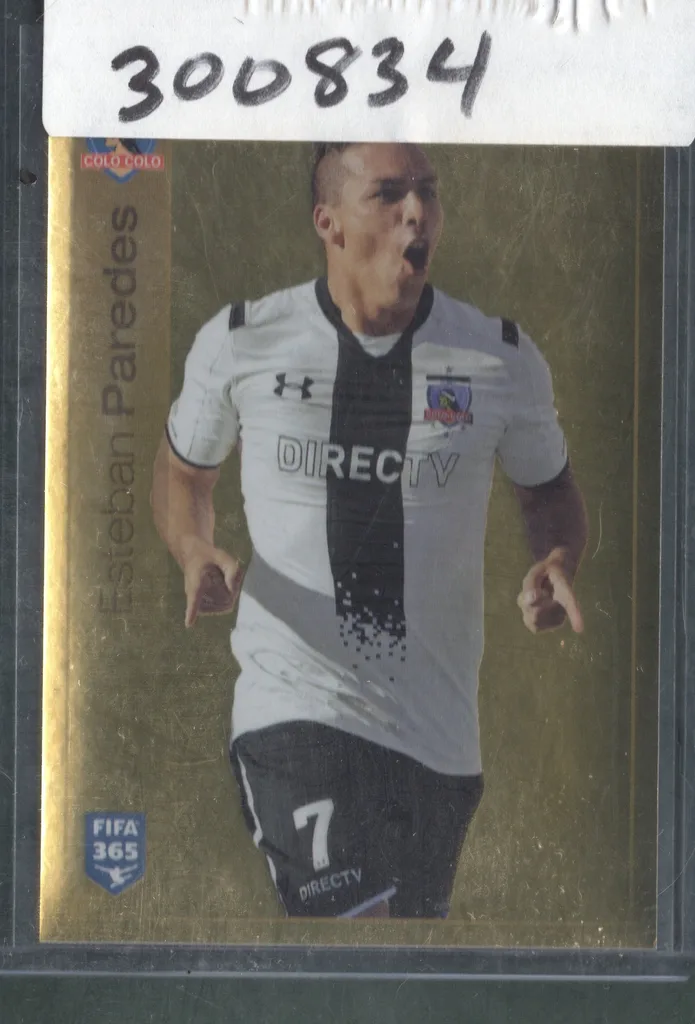 Paredes — Chile
