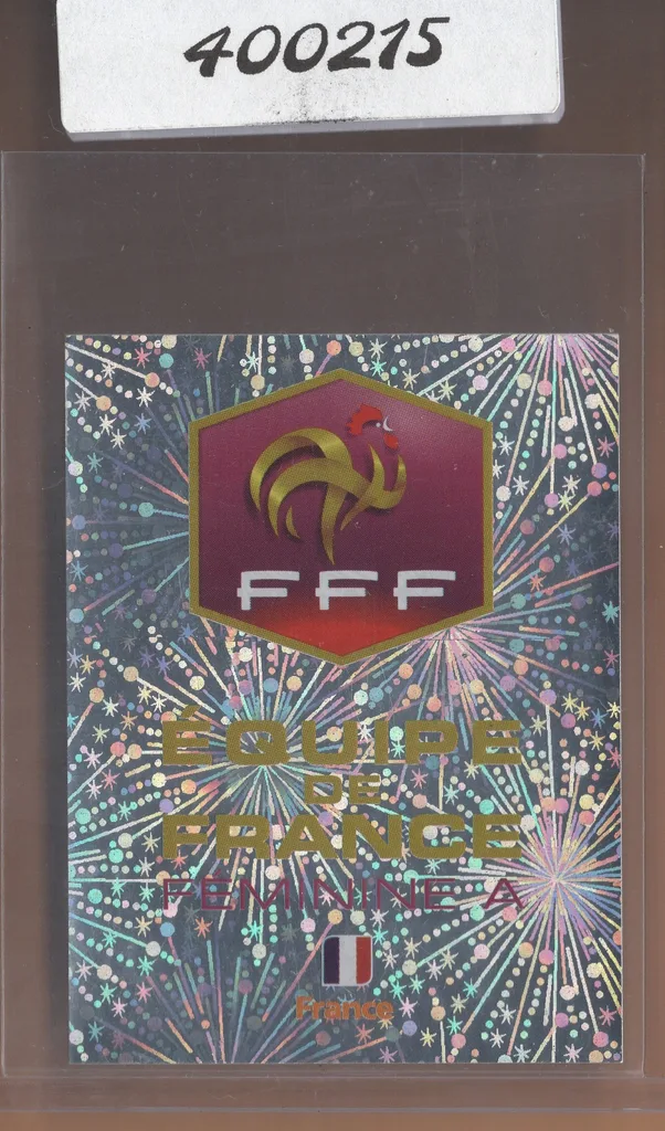 Badge — France