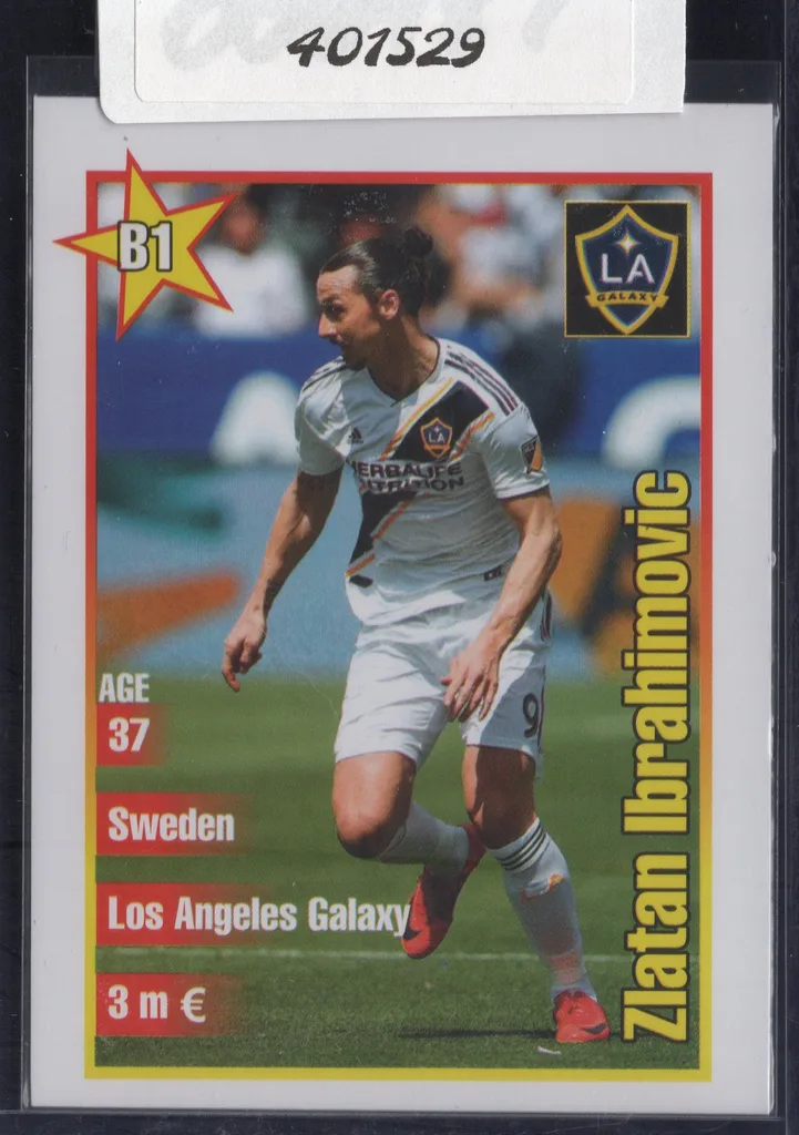 Ibrahimovic — Sweden