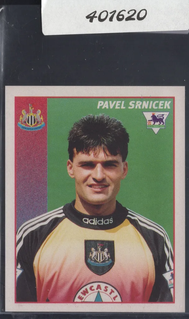 Srnicek — Czech Republic