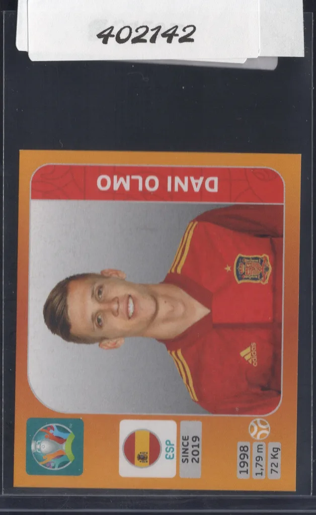 Olmo — Spain