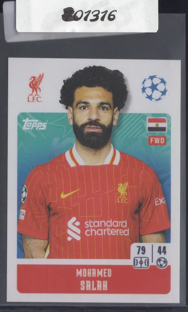 Salah — Egypt