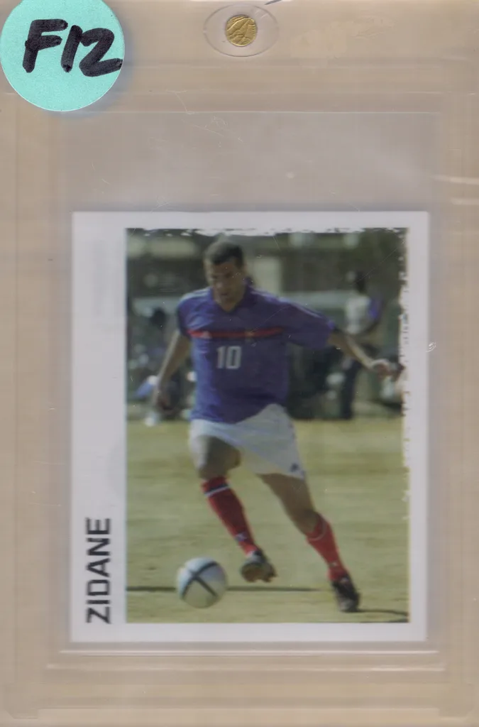 Zidane — France