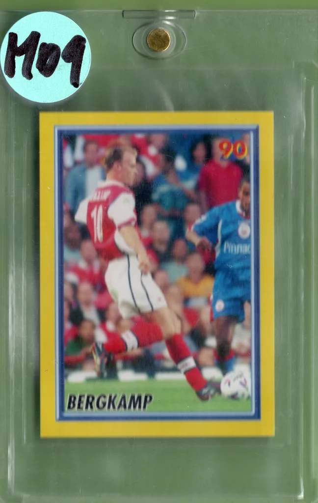 Bergkamp — Netherlands