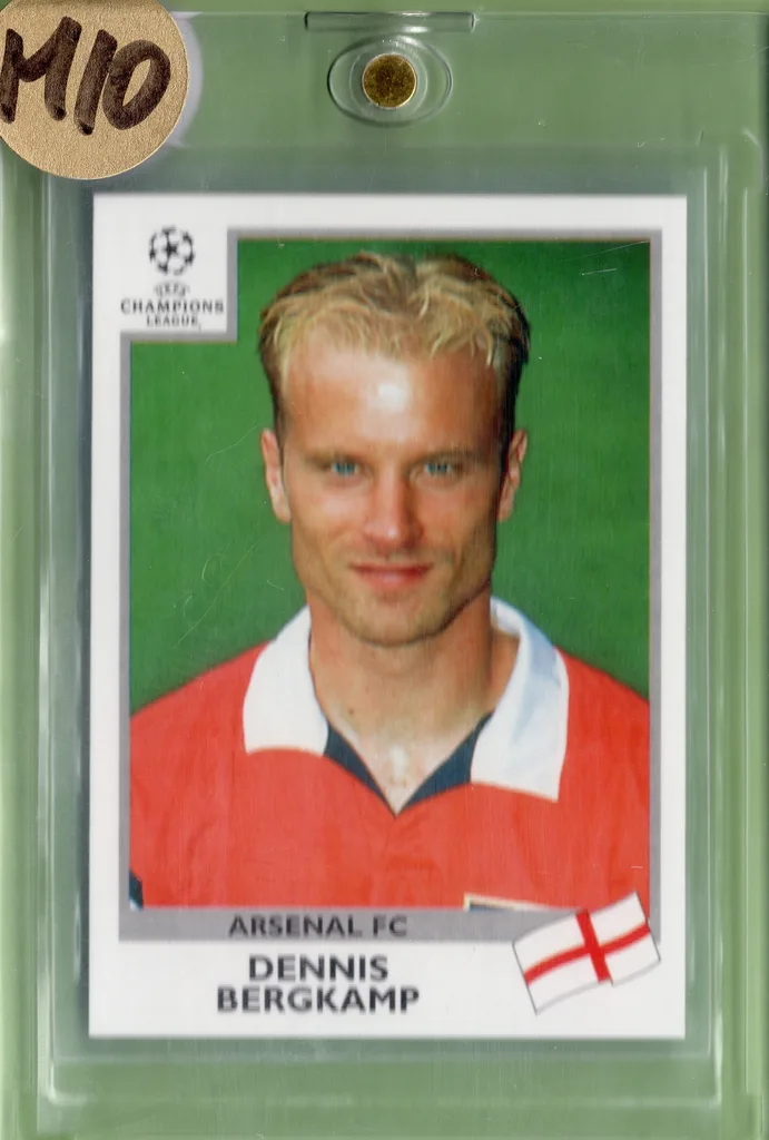 Bergkamp — Netherlands