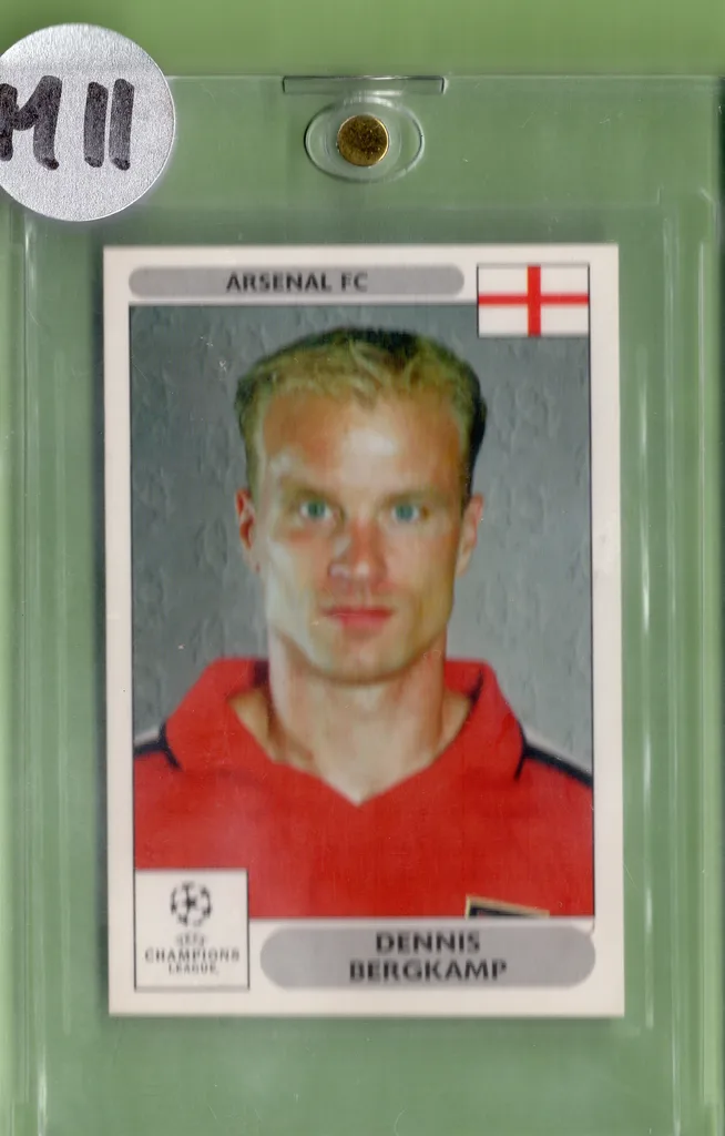 Bergkamp — Netherlands