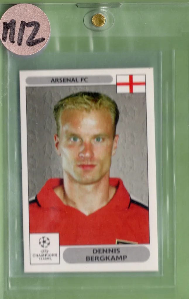 Bergkamp — Netherlands