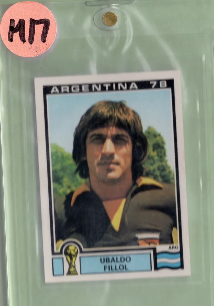 Fillol — Argentina